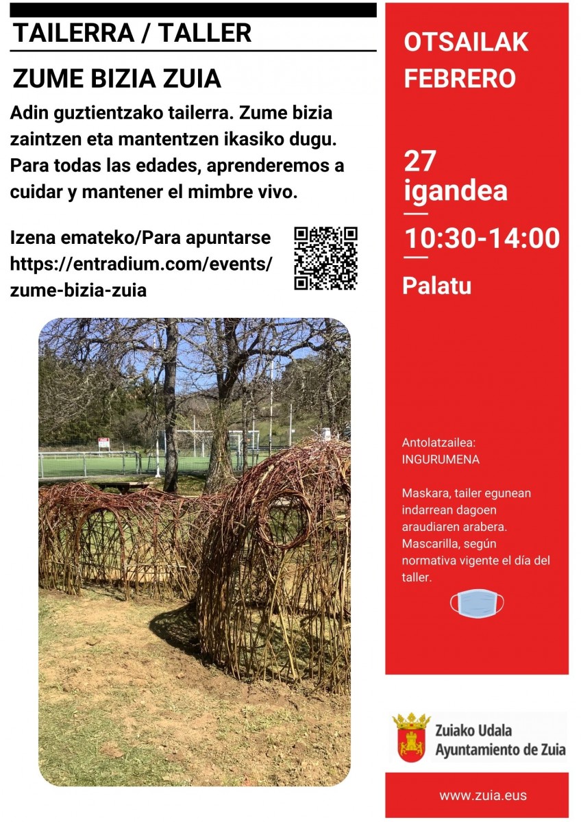 1200-1644308367-ZUME BIZIA KARTELA.jpg
